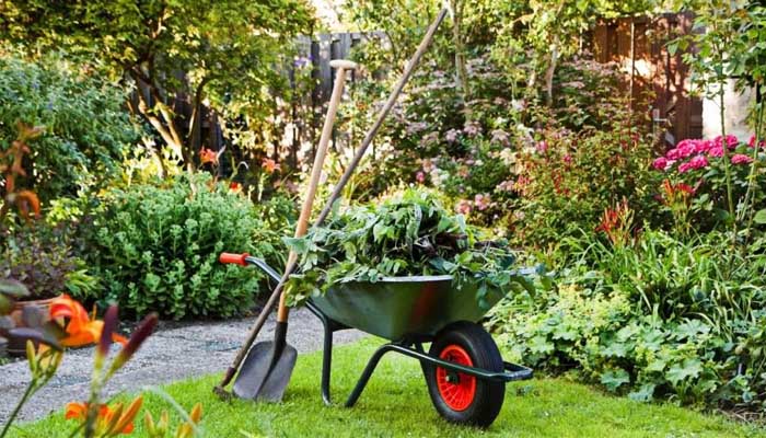 Новые исследования доказали пользу садоводства наравне с посещениями спортзала