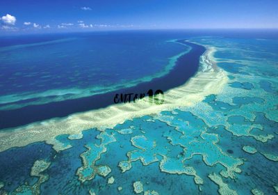 Как посетить Большой Барьерный риф — и помочь сохранить его | Австралия