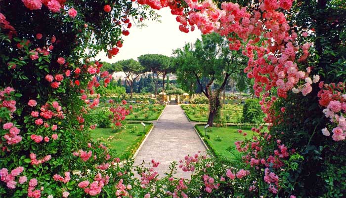 Общественные сады в Долине роз, недалеко от Марракеша, Марокко