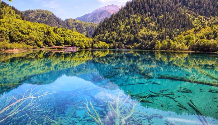 Тихая и чистая вода в провинции Китая, Национальный парк, Five-Flower Lake