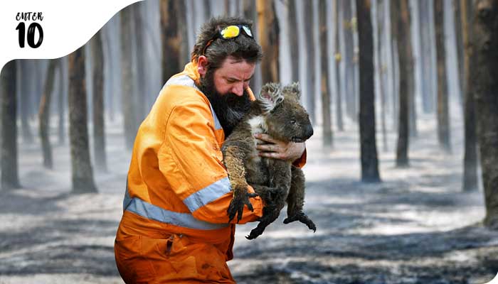 Дождь помог положить конец лесным пожарам в Новом Южном Уэльсе в Австралии