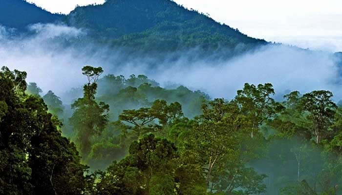 Индонезия утвердила переезд столицы на остров Борнео