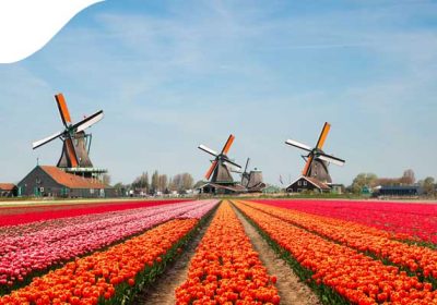 Нидерланды больше не будут называться Голландией