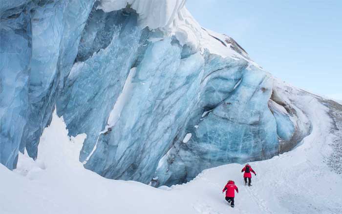 Приключения на Северном полюсе, и путешествия по дикой природе Арктики