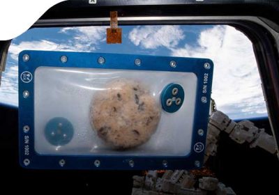 Впервые астронавты пытаются испечь печенье на МКС