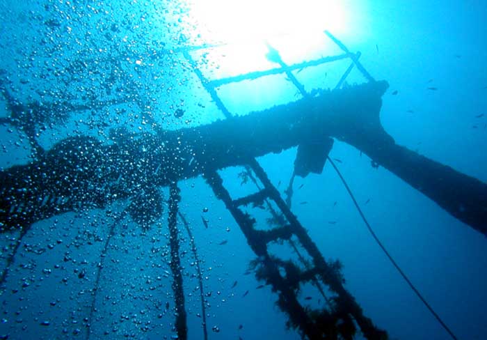 Дайвинг или подводное плаваниев Хорватии в кристальных водах Шолты