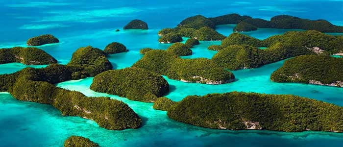 Отдых на Андаманских островах в 2019 году, райский уголок с пальмами и манго.