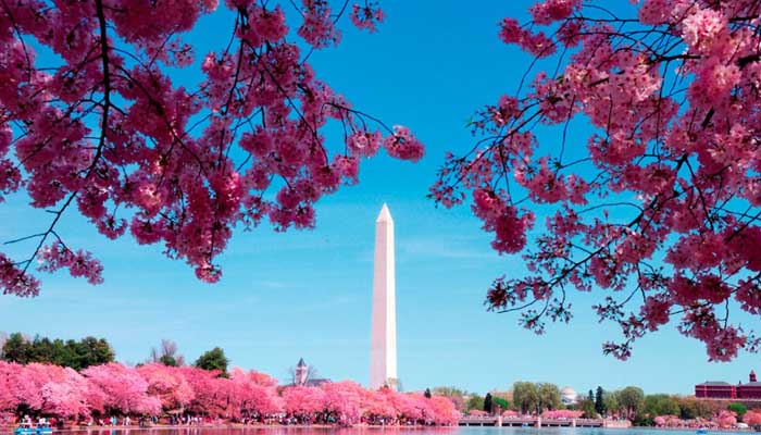 Куда поехать отдыхать в марте 2020 - Вашингтон