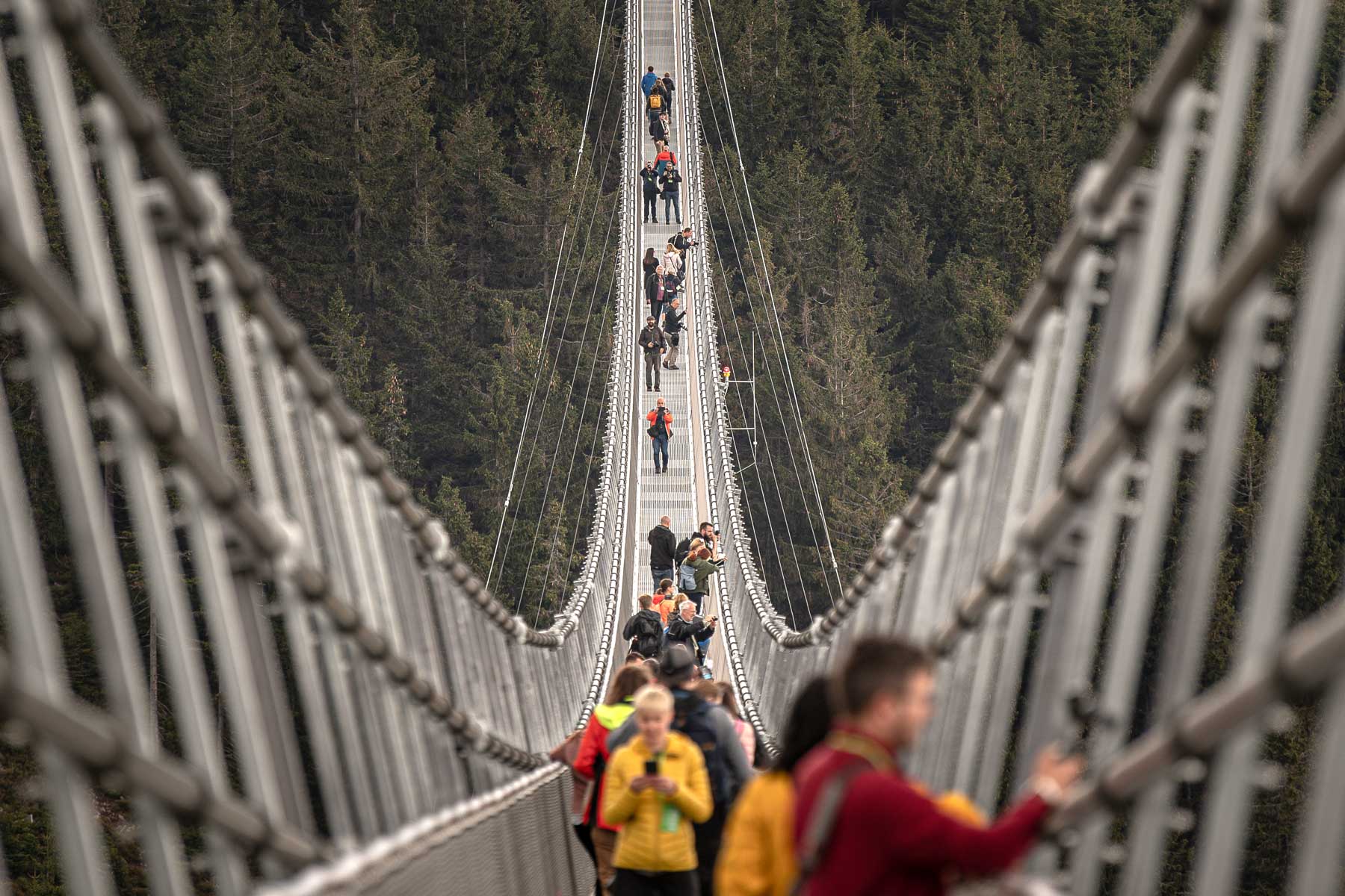 Самый длинный в мире подвесной пешеходный мост Sky Bridge 721 в Долни Морава, Чехия, 9 мая 2022 года.