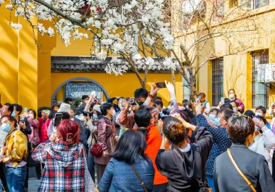 Китай снова принимает иностранных туристов — что нужно знать перед поездкой